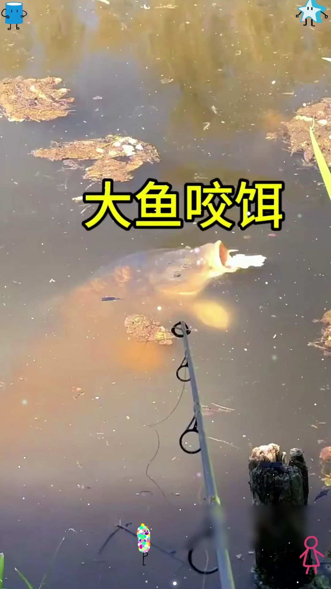 一条巨大的鱼咬饵的全过程！