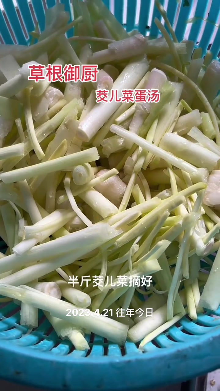 五月鲜美饺儿菜蛋汤做法超简单快来试试