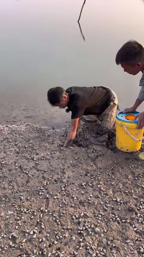 今天是捅鳝鱼窝了吗？这300元花的值(1)
