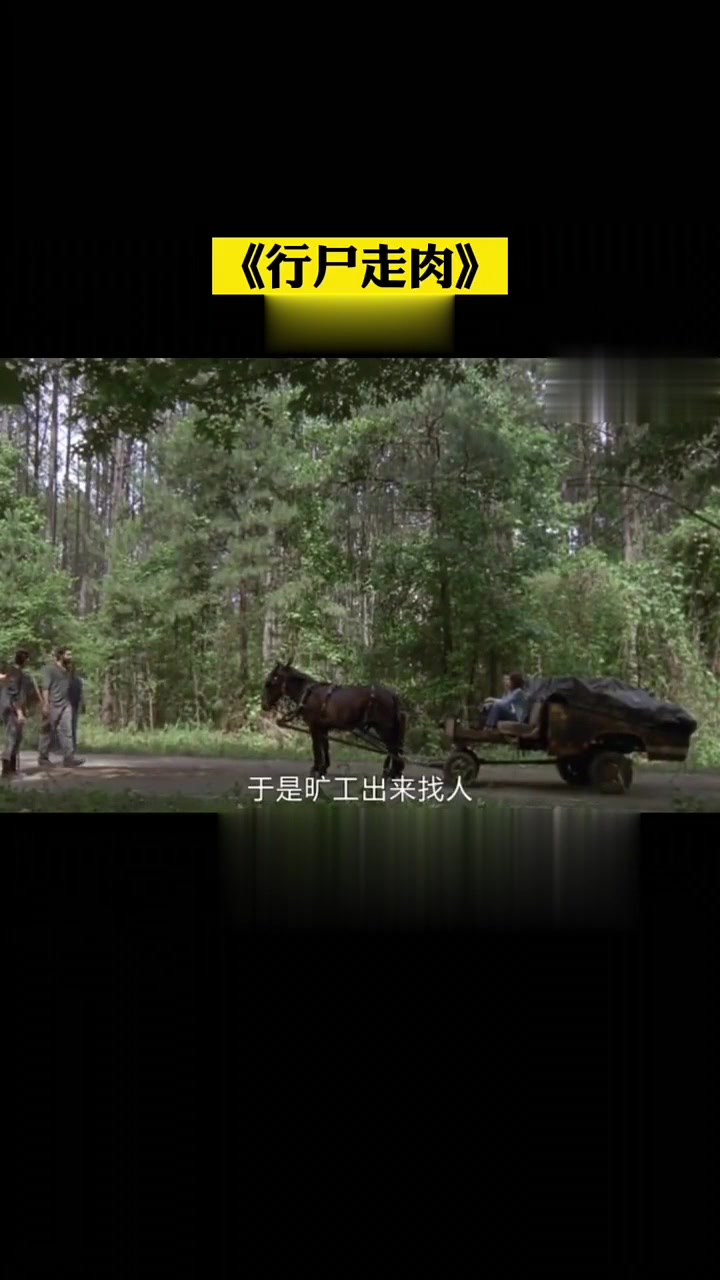 行尸走肉快来看看吧