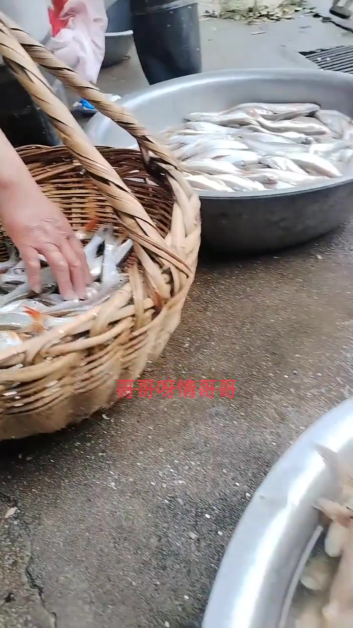 亲自动手腌制鱼的操作中!正宗咸鱼!想吃的就来!