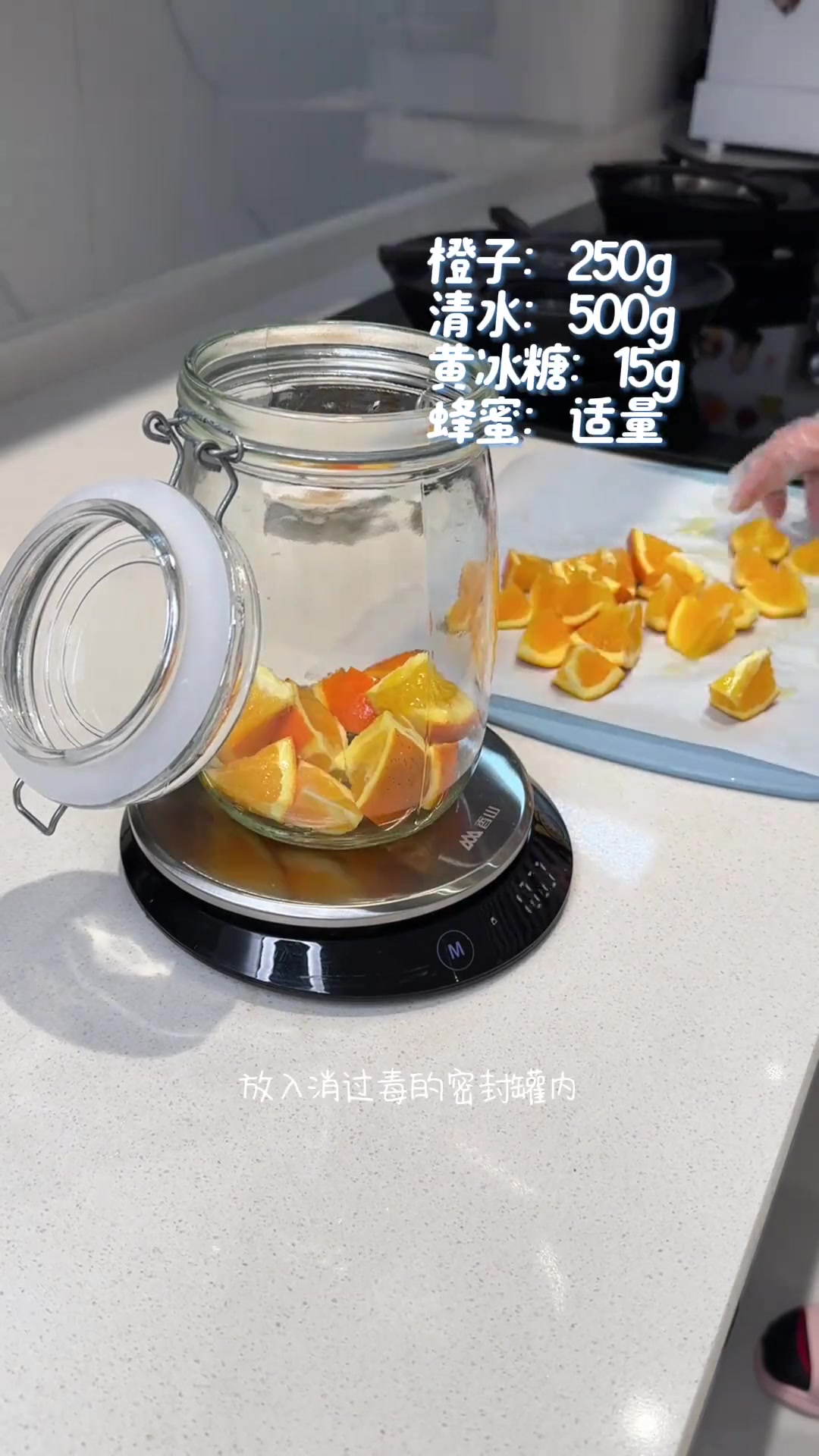 果然撸包的尽头，是养「天然酵种」一般风味的面包已不能再满足我了，尝试过一次自己养的天然酵种
