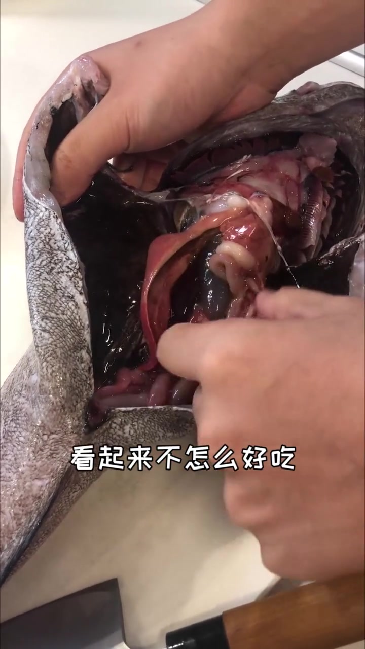 卖鱼的人也是第三次看到的超稀少鳕鱼!