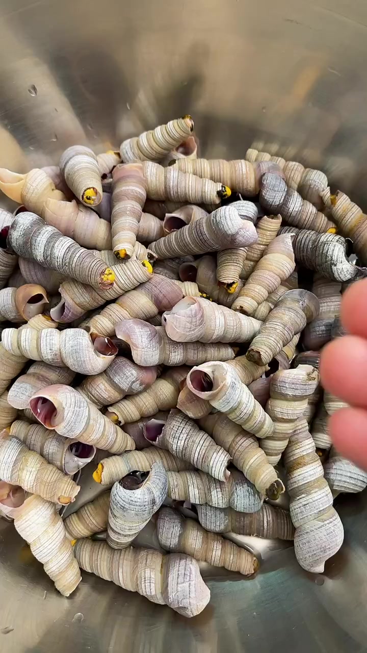 感谢大家支持辣炒钉螺