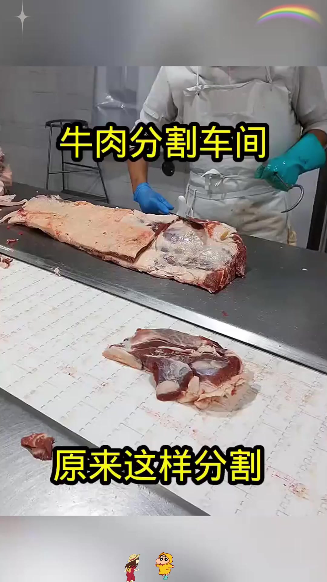 牛肉分割车间，原来这样分割！