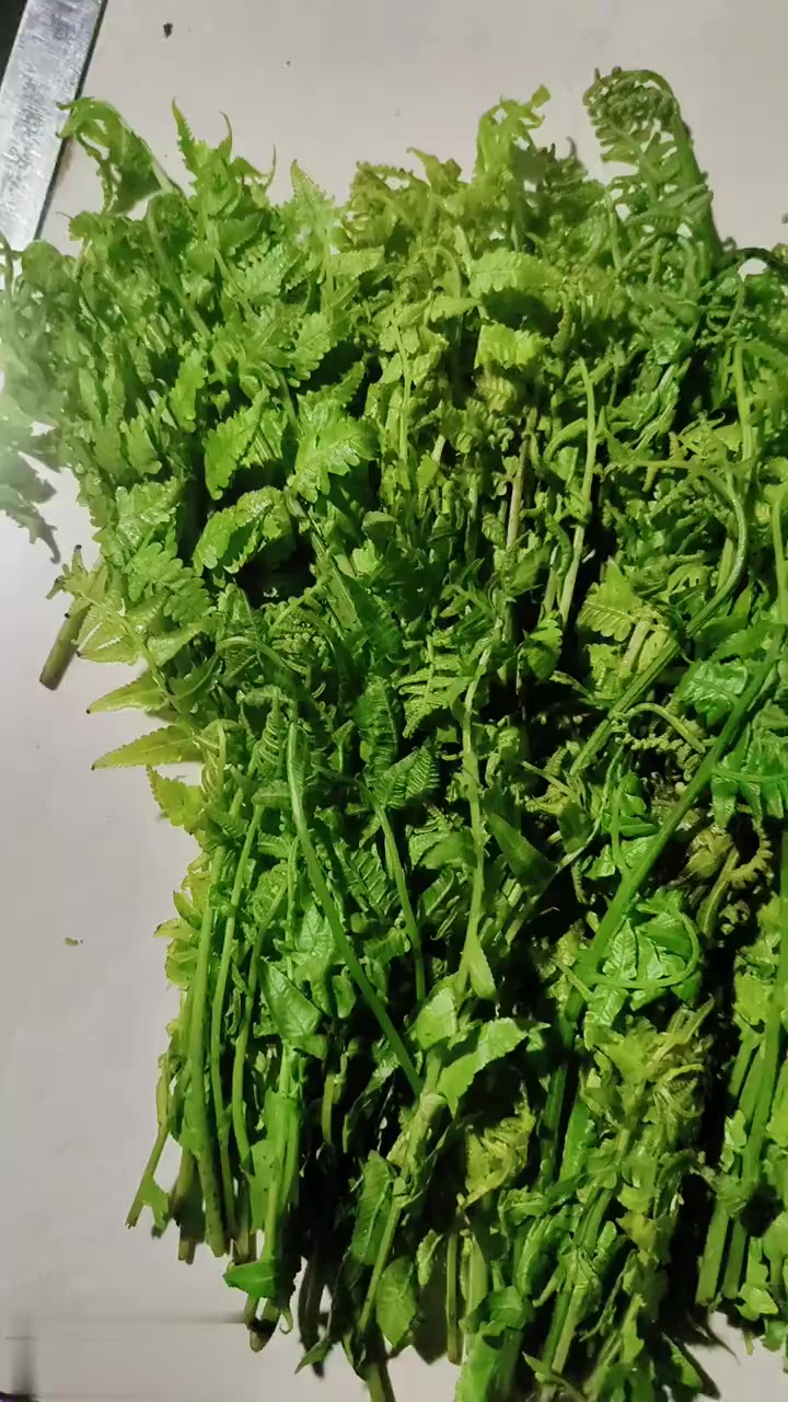 酸笋子煮水芥菜
