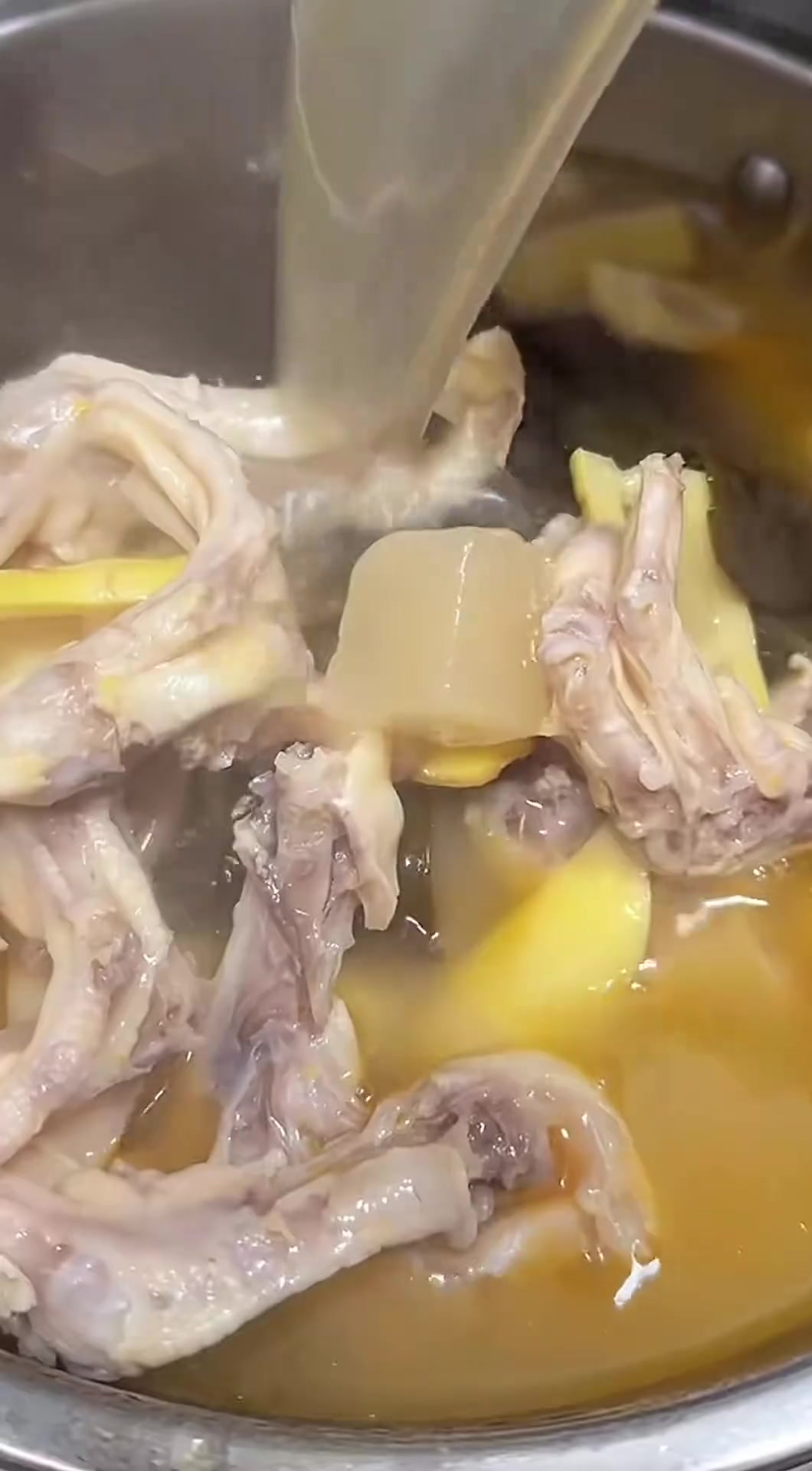 酸萝卜鸭掌汤真的是太美味了酸爽开胃汤都能喝光
