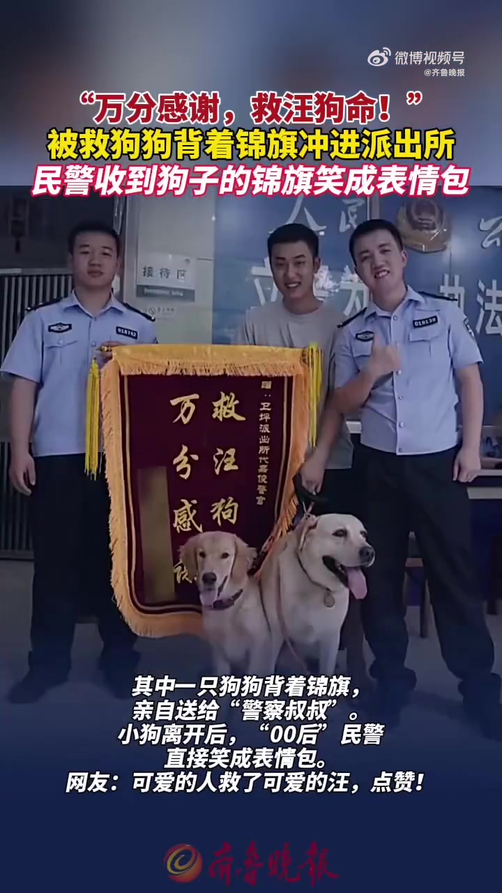 “万分感谢,救汪狗命!”近日,四川自贡卫坪派出所,两条小狗在主人带领下,前来向民辅警致谢。