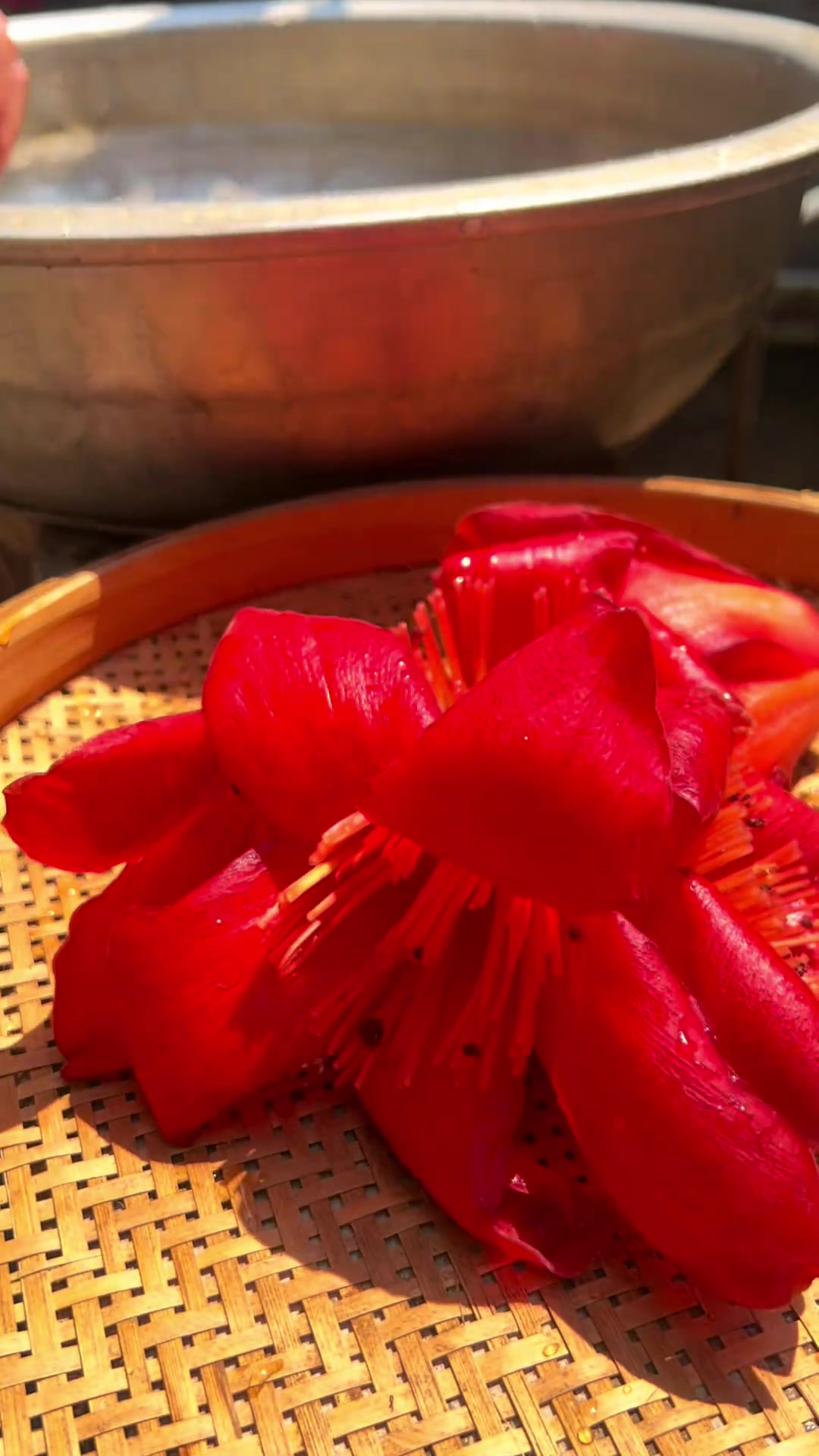 木棉花猪横脷汤春天百花盛放，木棉花不但可供观赏，更是广东人餐桌上的美味！