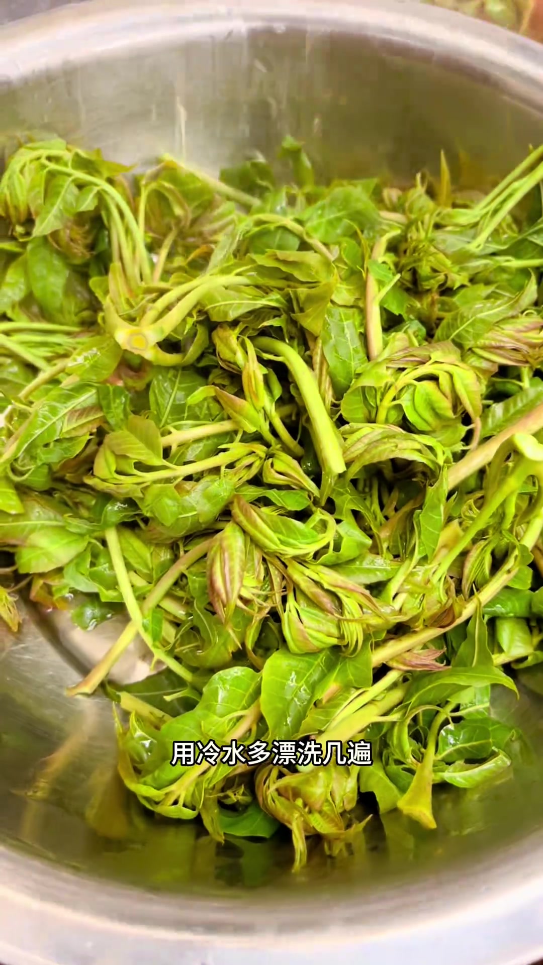 香椿萌芽翠且鲜，凉拌几步成佳肴，一口春意绵