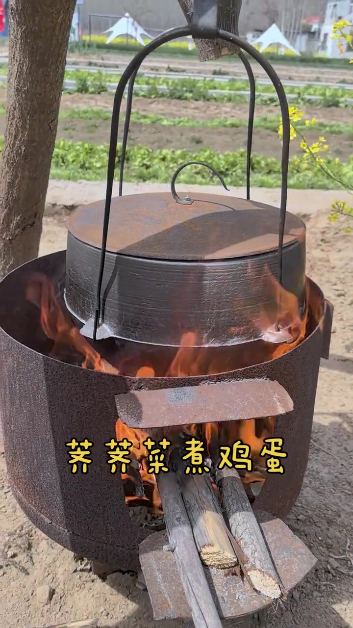 三月初三荠菜煮鸡蛋驱寒做法快get