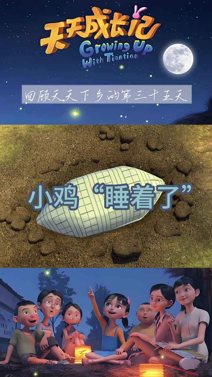 孩子围小鸡看其入睡,不舍难过中领悟生命意义