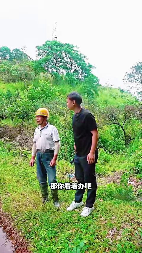 大表哥盘下8年的老甲鱼塘,里面的甲鱼到底有多大?(4)