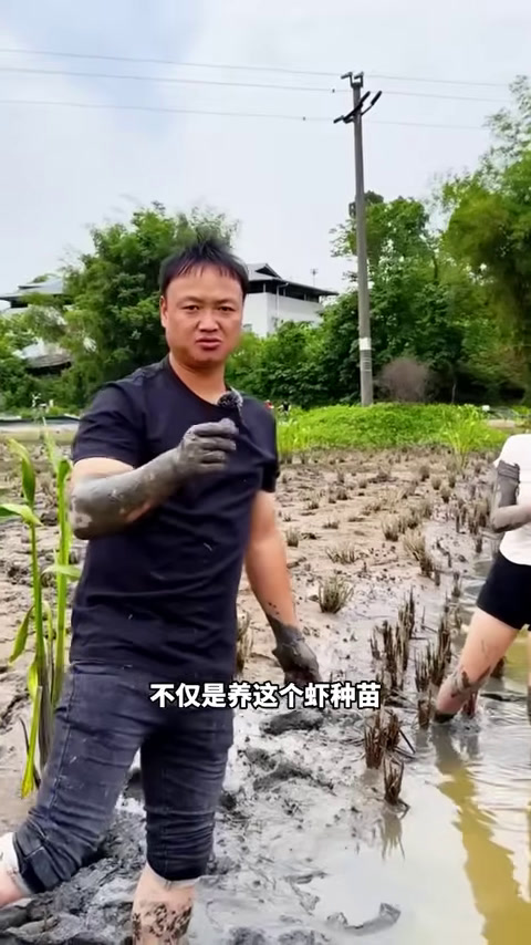 大表哥花1000元包下200万粉丝女网红的龙虾塘，没想到她一年血亏10万？(2)