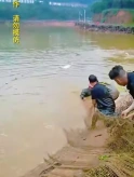 大表哥花高价盘下青鱼钓场里的2条大青鱼,听说里面竟然有200多斤的青鱼王?(2)