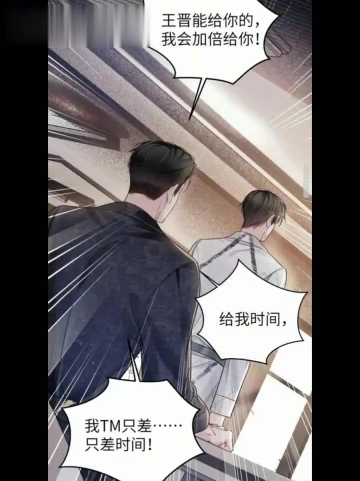 针锋对决最新一期