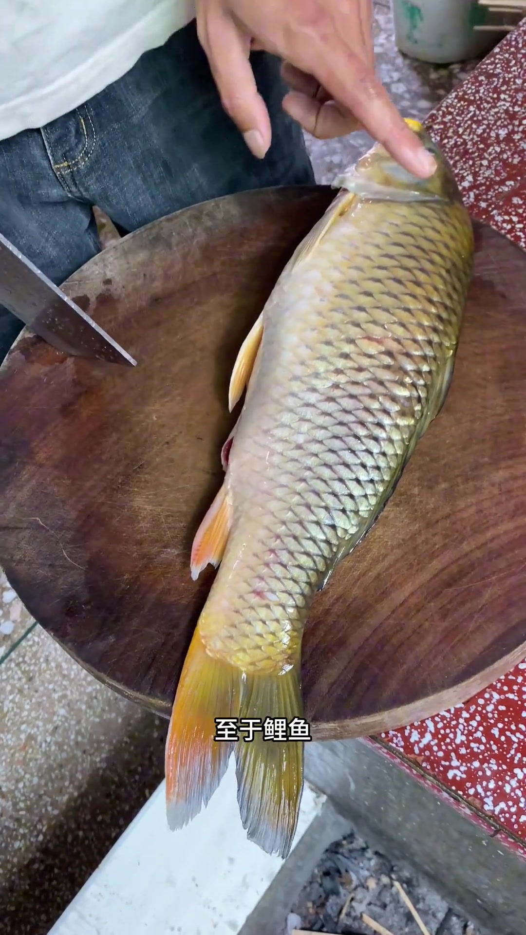 鲤鱼煲黑豆分享