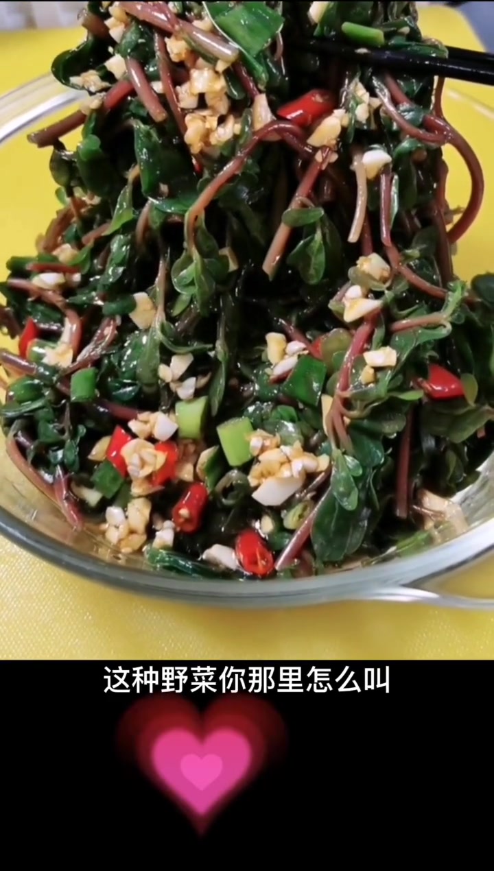 夏天多吃这个野菜，清热利湿……很多好处