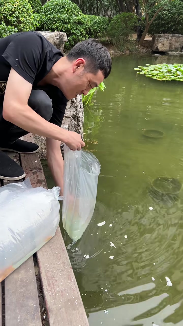 放生点小红鱼,北京宋晨