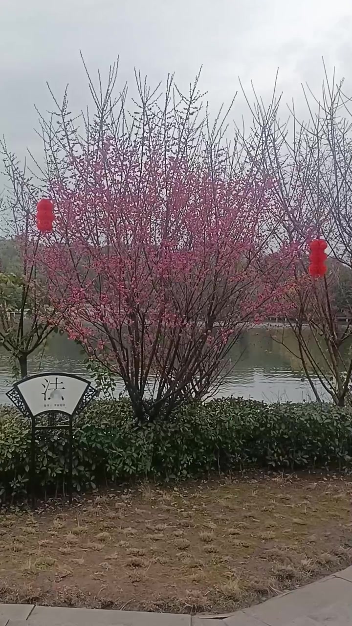 看我用饺子摆出了什么字