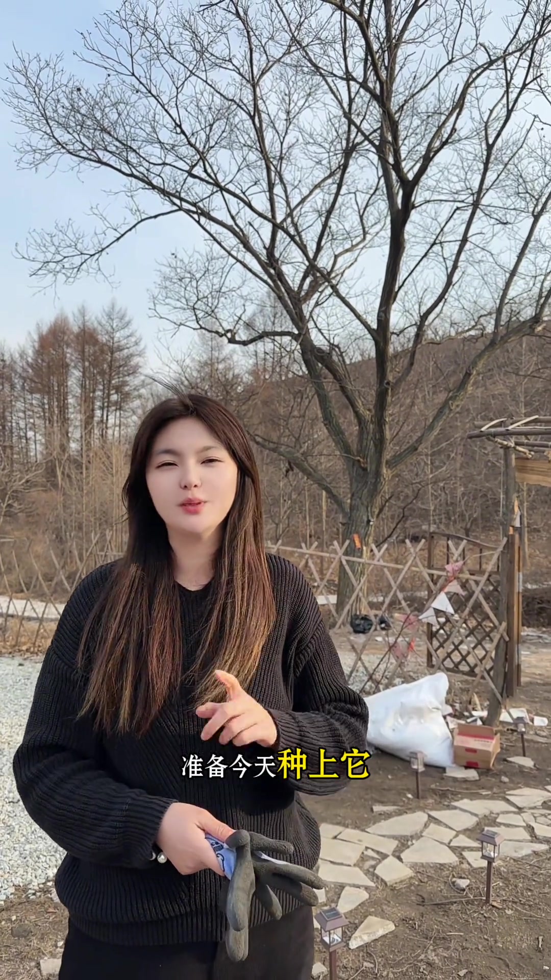 这几天把蔷薇栽好了静待花开本周菜系辣焖明太鱼