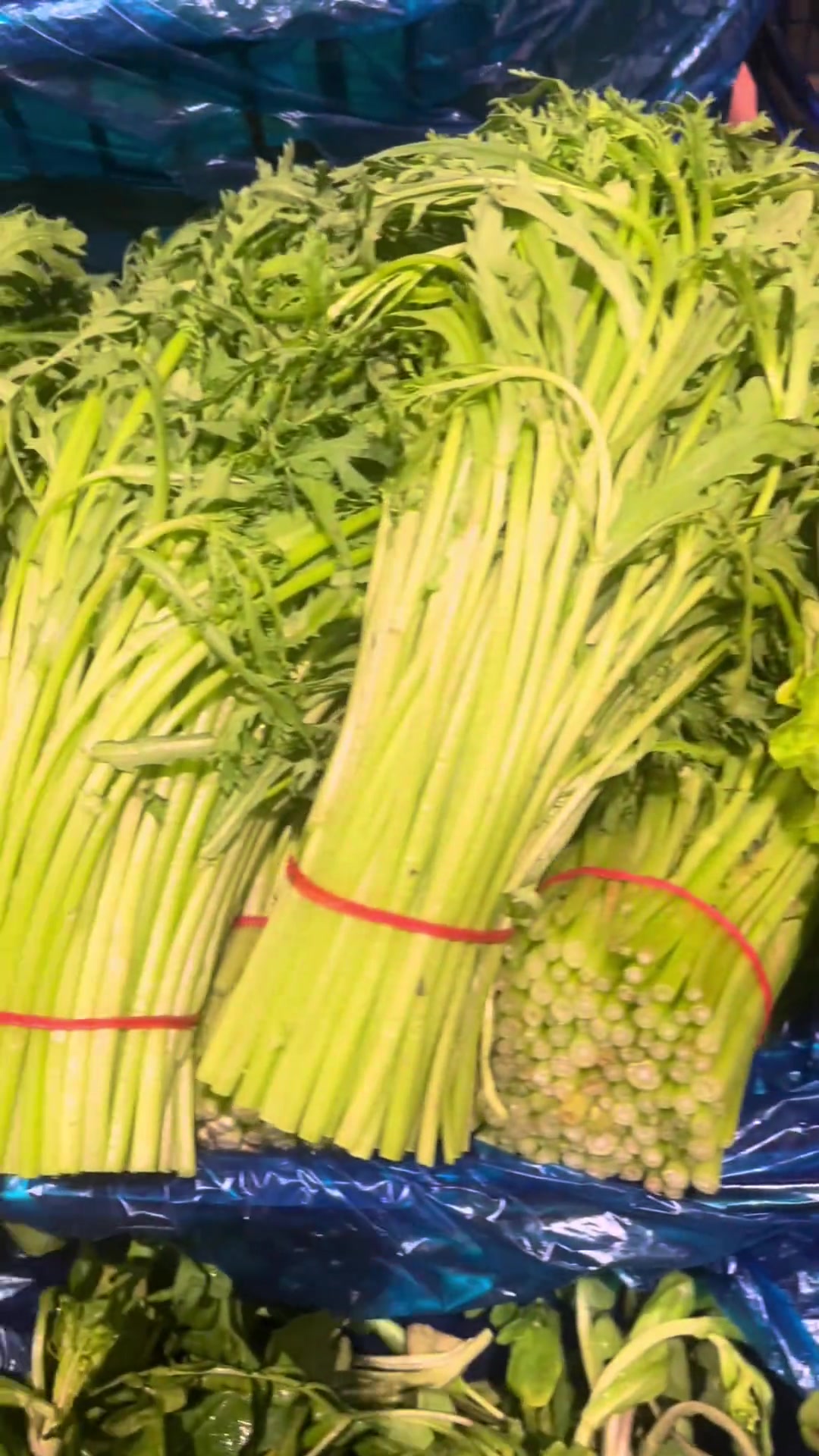 北方的小伙伴快来看看南方菜场的青菜,谁能说出这些菜的名字?