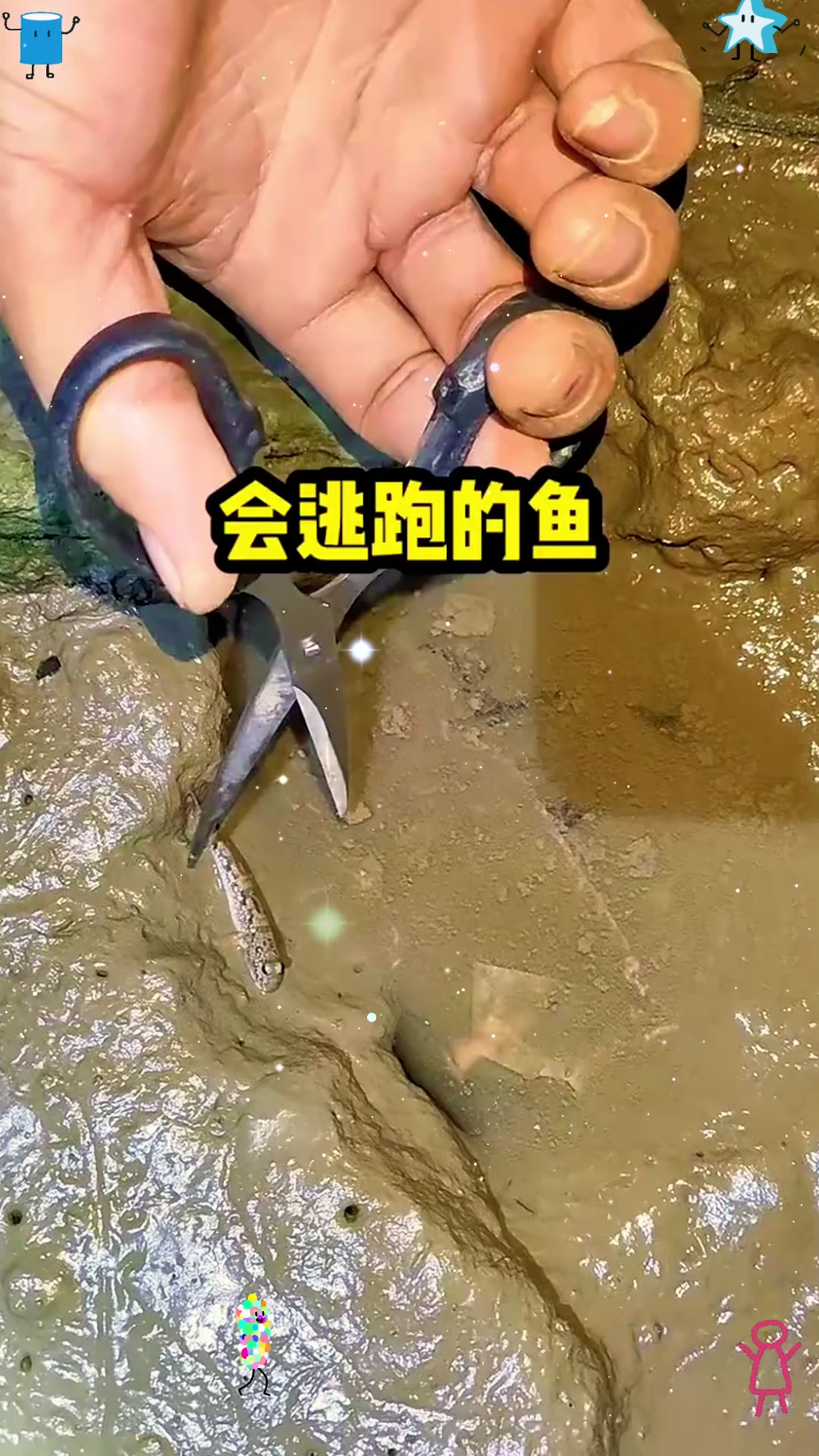 会逃跑的鱼，太罕见了