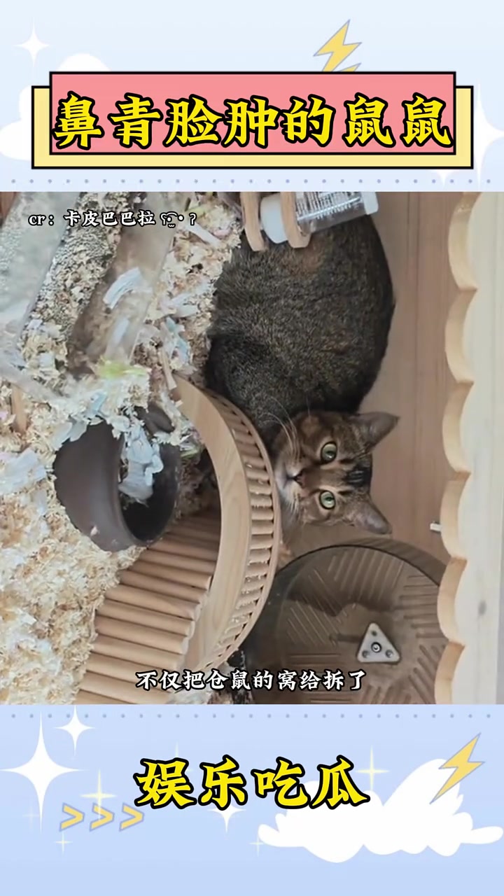 被揍的鼻青脸肿的鼠鼠