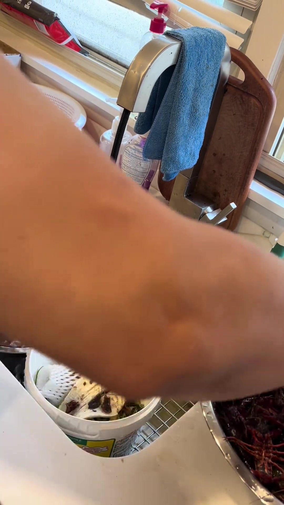 吃喝闲聊小龙虾螃蟹等各种美食趣事大集合