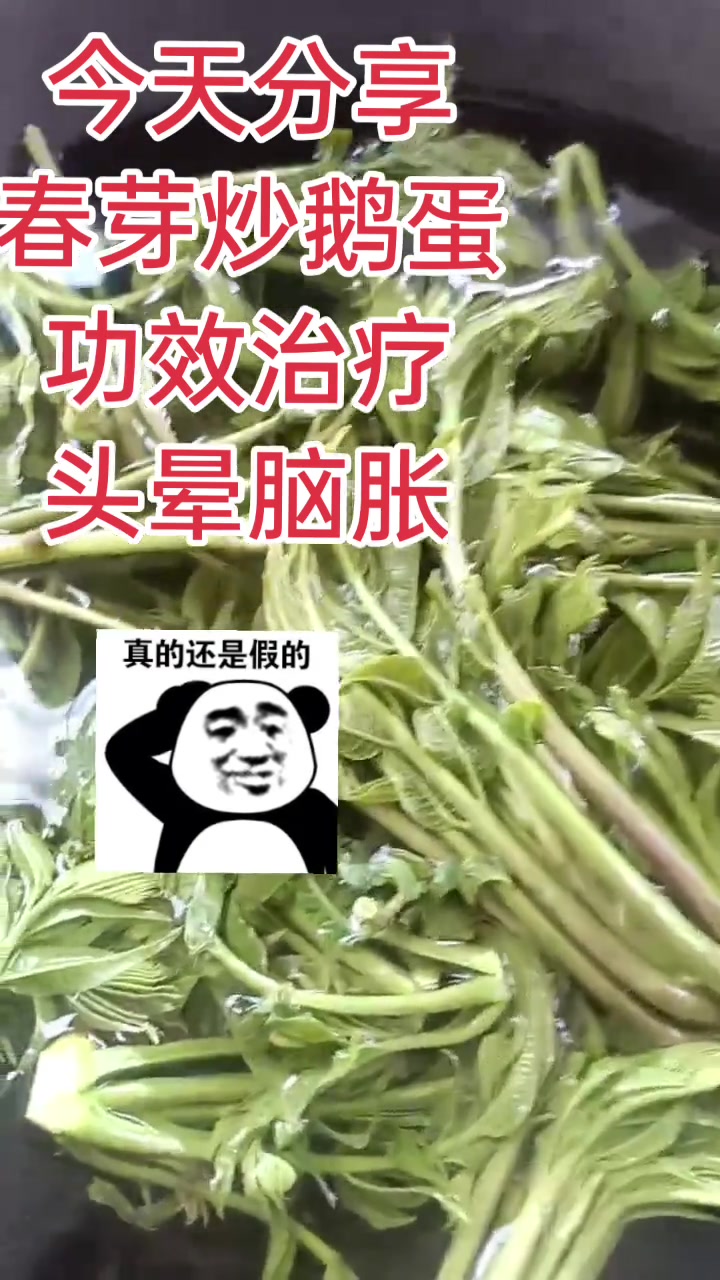 今天分享春芽炒鹅蛋,你们都来我家尝尝