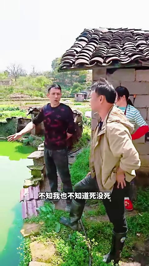 花4500元包下废弃多年的老甲鱼塘,里面的甲鱼到底会有多大?(1)