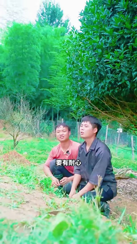 大表哥花50元限时捕小龙虾,最后到底能回本吗?(3)