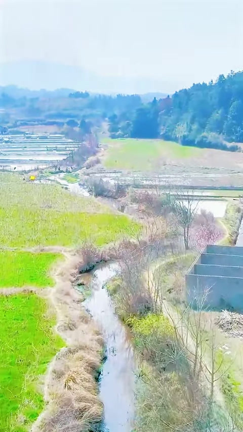 花2000元包下百年老鱼塘，没想到里面的鱼竟然这么大？(3)