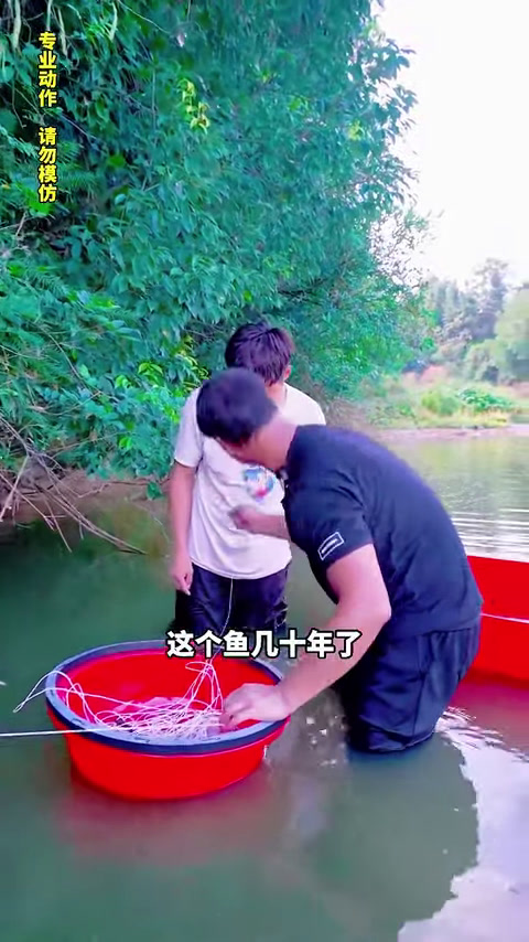 塘主养了10多年的深山老鱼塘,竟然遇到了金牌抓鱼王!(5)
