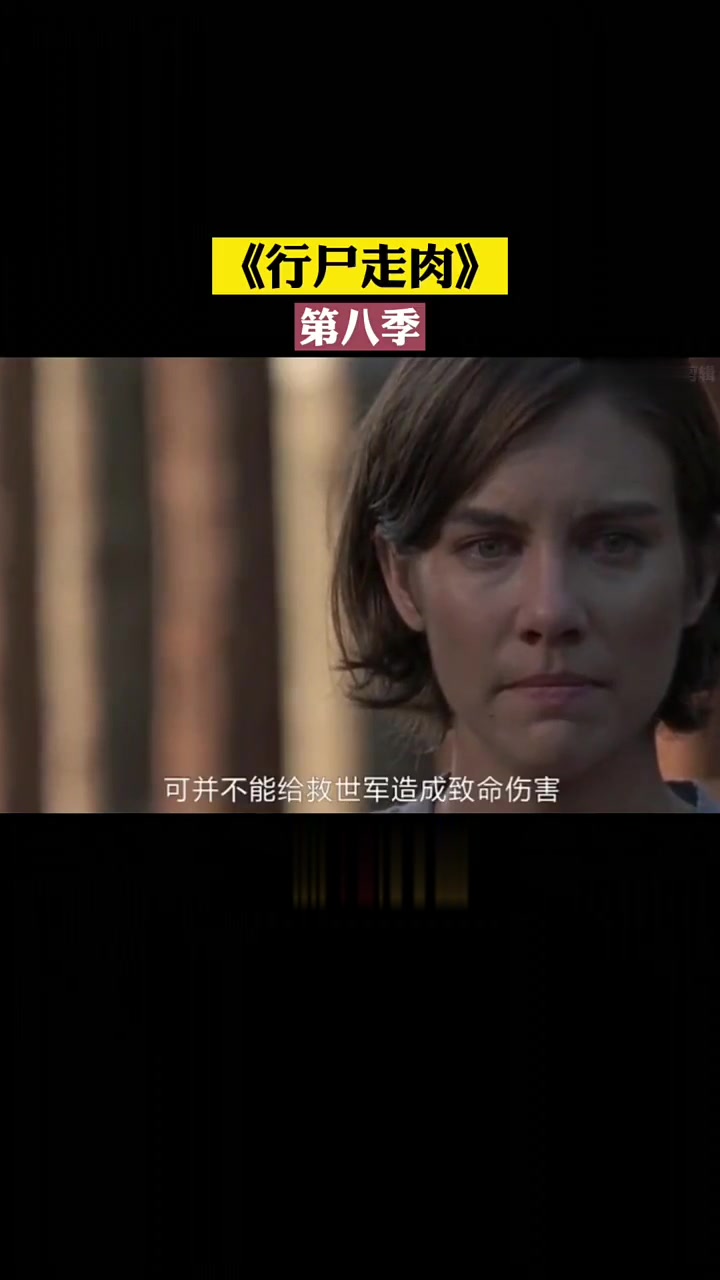 行尸走肉第八季第17/22集