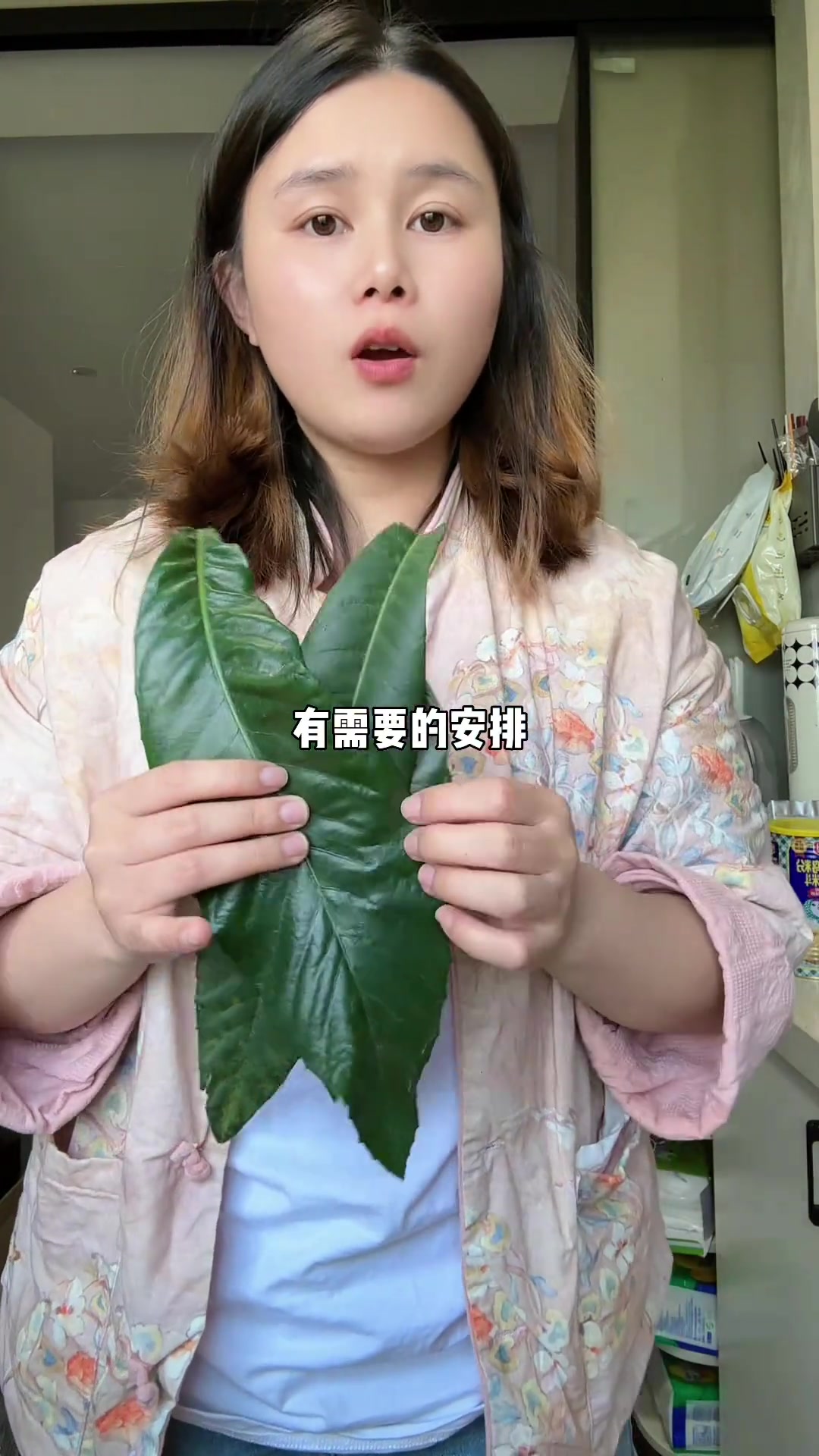 琵琶叶炖梨子汤,分享给需要的人