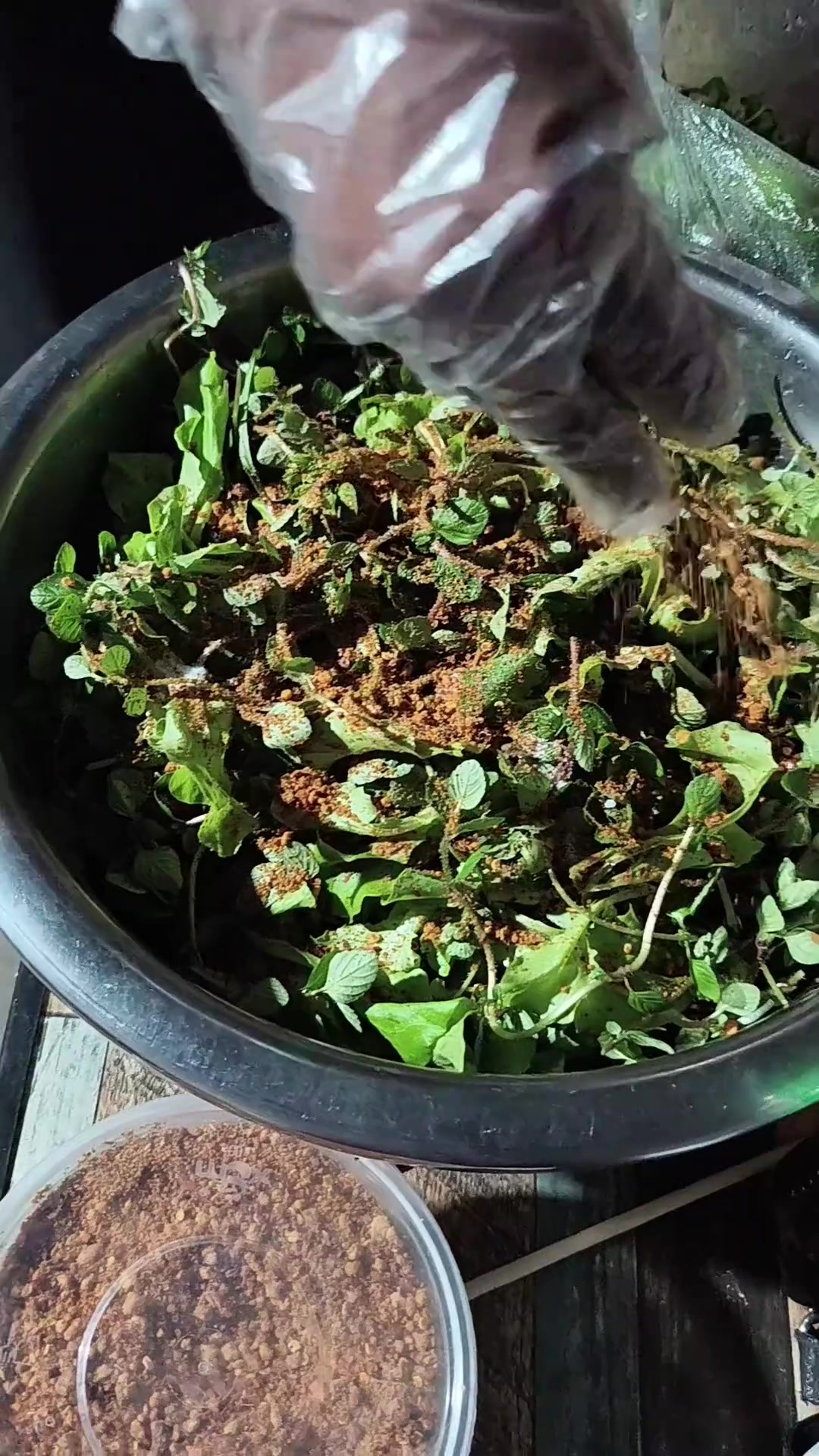 今天的生活,土鸡鸡肉烂饭,老鼠肉汤,凉拌菜的,辣的不要不要的