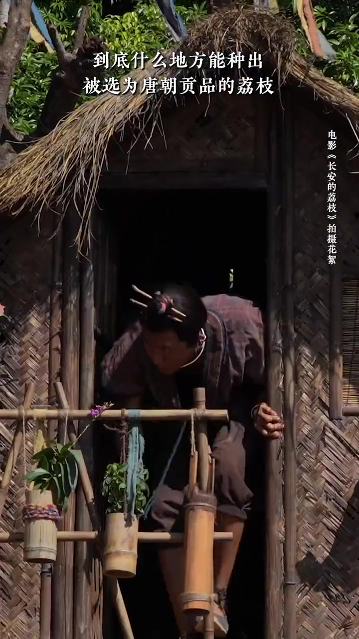 六畜兴旺,果实累累,这才是向往的生活!路人:你偏要去岭南是什么意思?岭南到底有谁在啊?李善