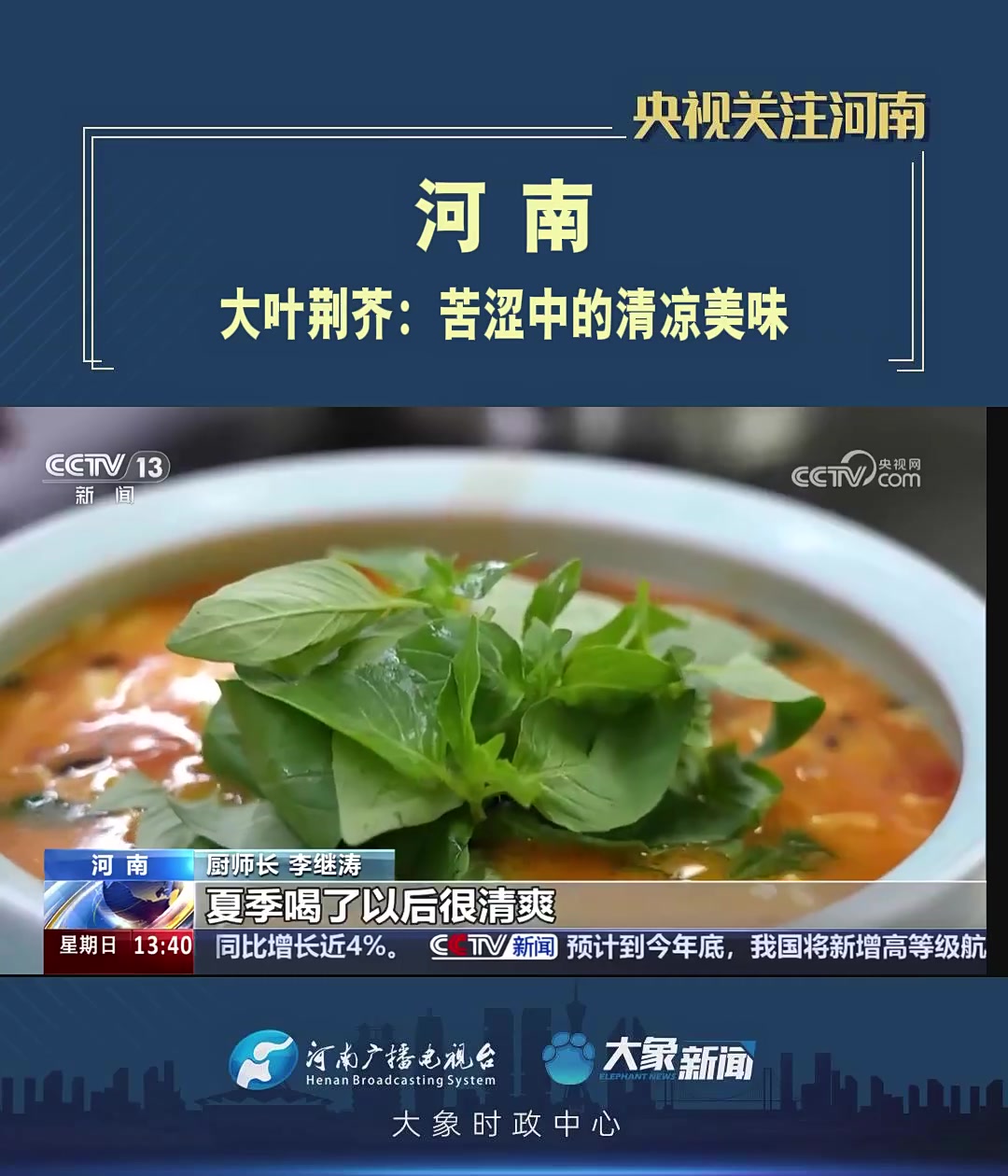 「央视关注河南」大叶荆芥:苦涩中的清凉美味