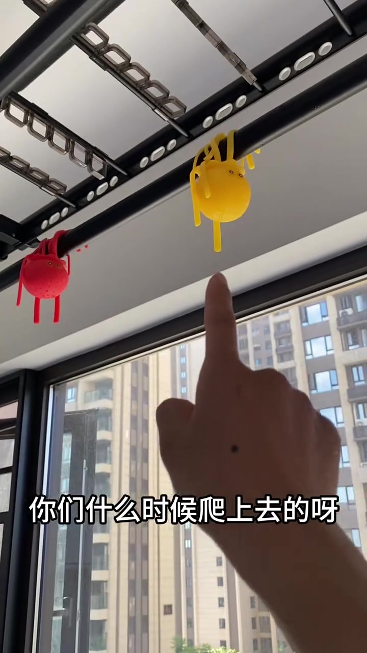 章鱼怎么爬到我的晾衣架上了?