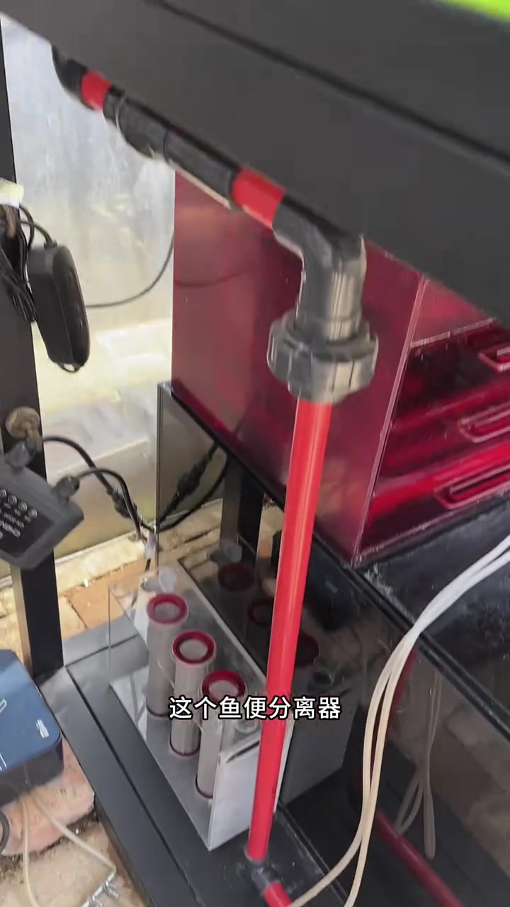 养鱼的起点，大多始于玻璃缸中的世界