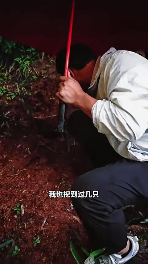 包下老爷爷在深山里的小鱼塘,最后又被爷爷感动了!(5)