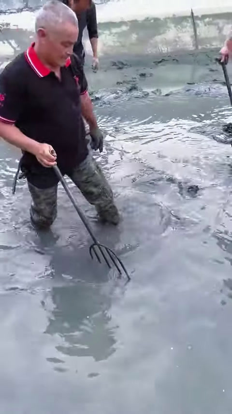 花1800元包下一个深山泉水塘,没想到里面的鱼有这么多!(3)