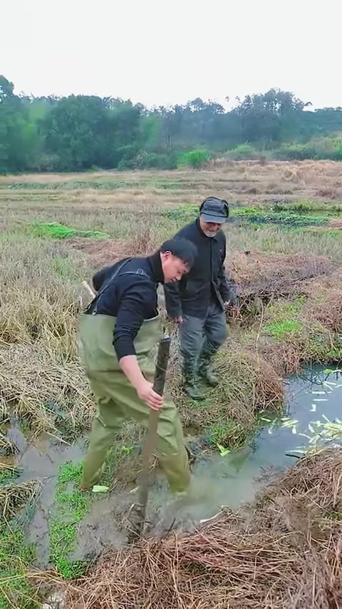 包下一个80岁老爷爷的鱼塘,没想到里面的鱼竟然是金色?(1)