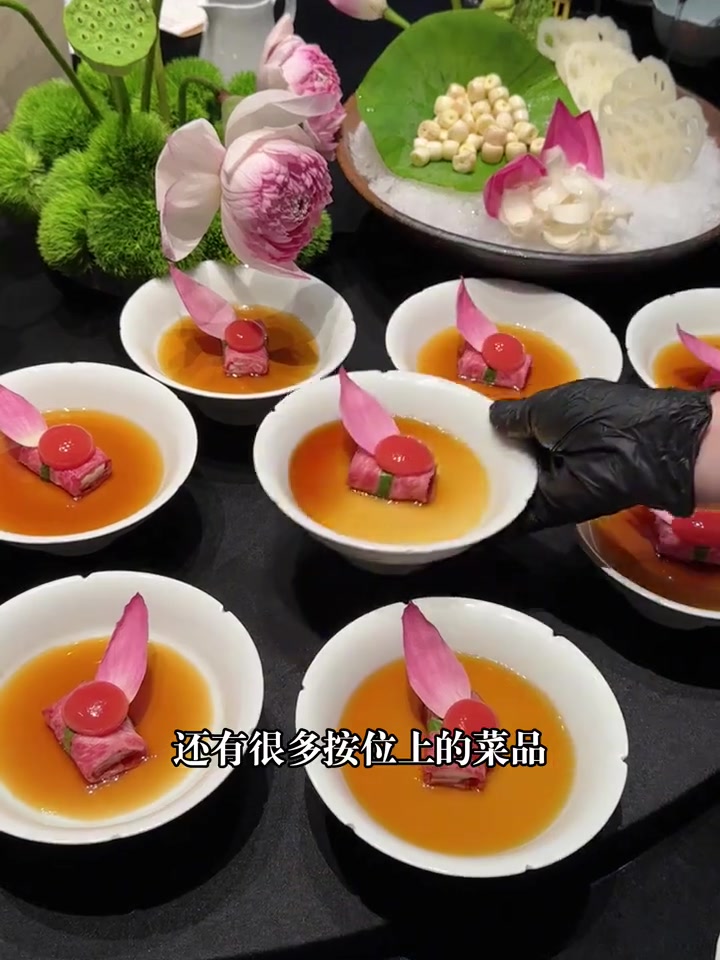 夏日荷花宴不负好时光