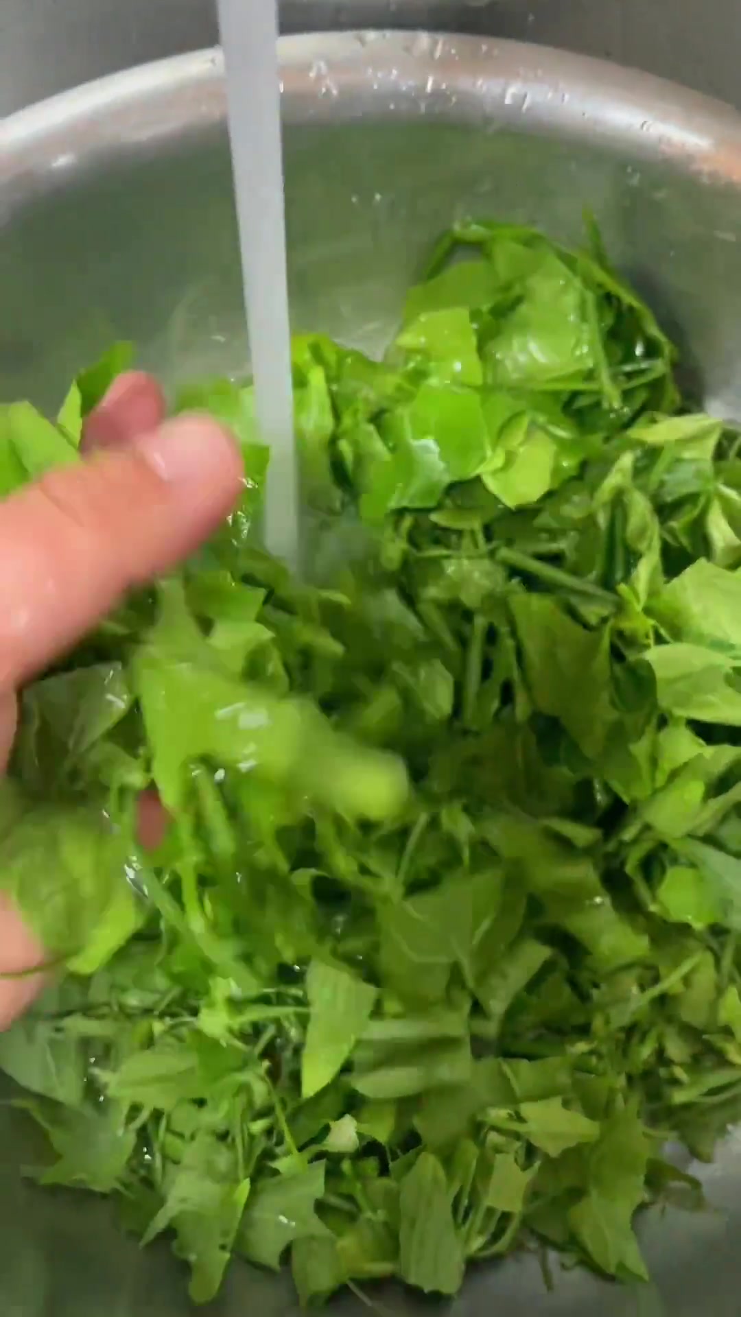 拌菜天花板鲜腐竹呛拌丝瓜尖教程快来学