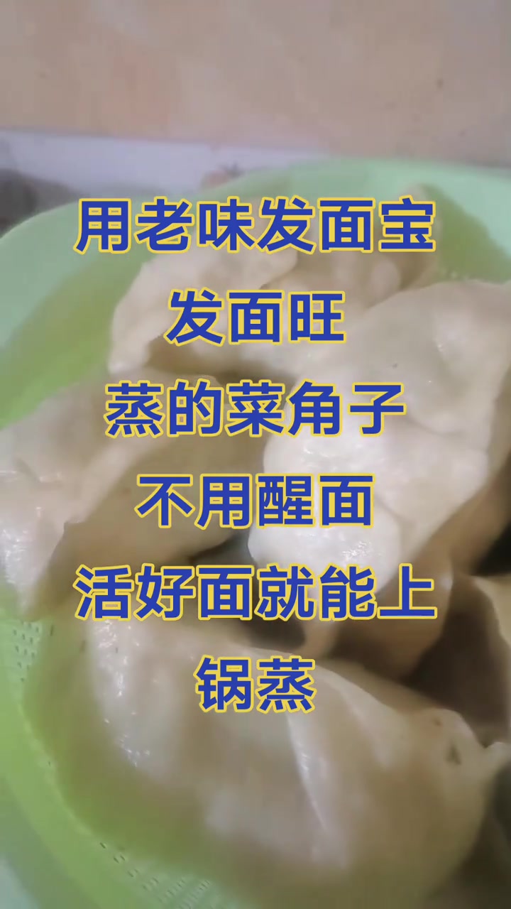 家用酵母发面宝蒸馒头,蒸包子快来品尝吧!