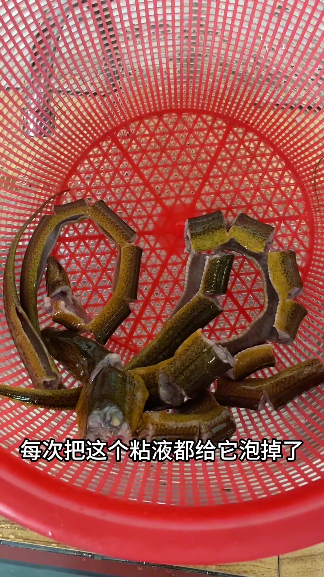 化疗期间升白太重要了,你们要的升白黄鳝豆腐汤来了,汤浓稠奶白鲜美,黄鳝软烂营养丰富!