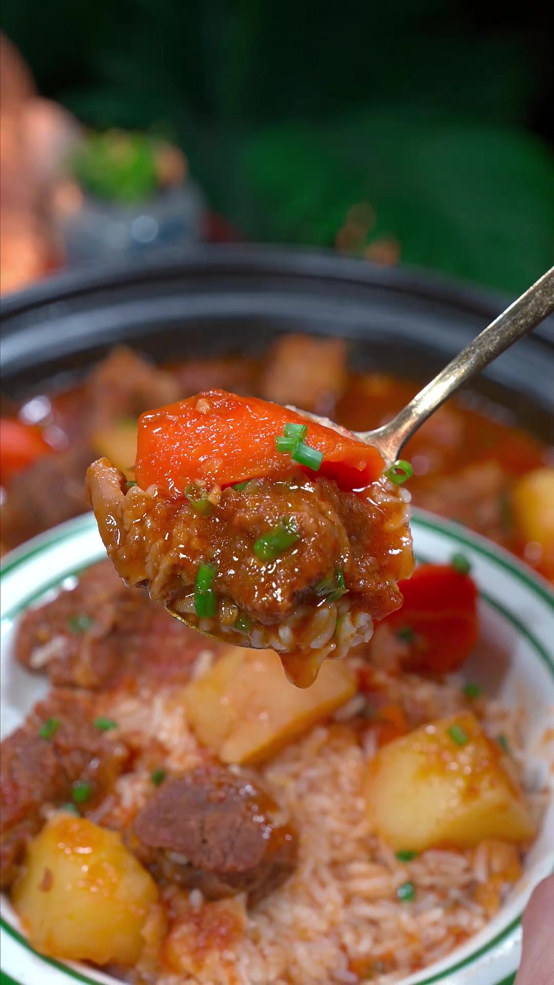 牛肋条番茄土豆炖牛肉,孩子超爱吃