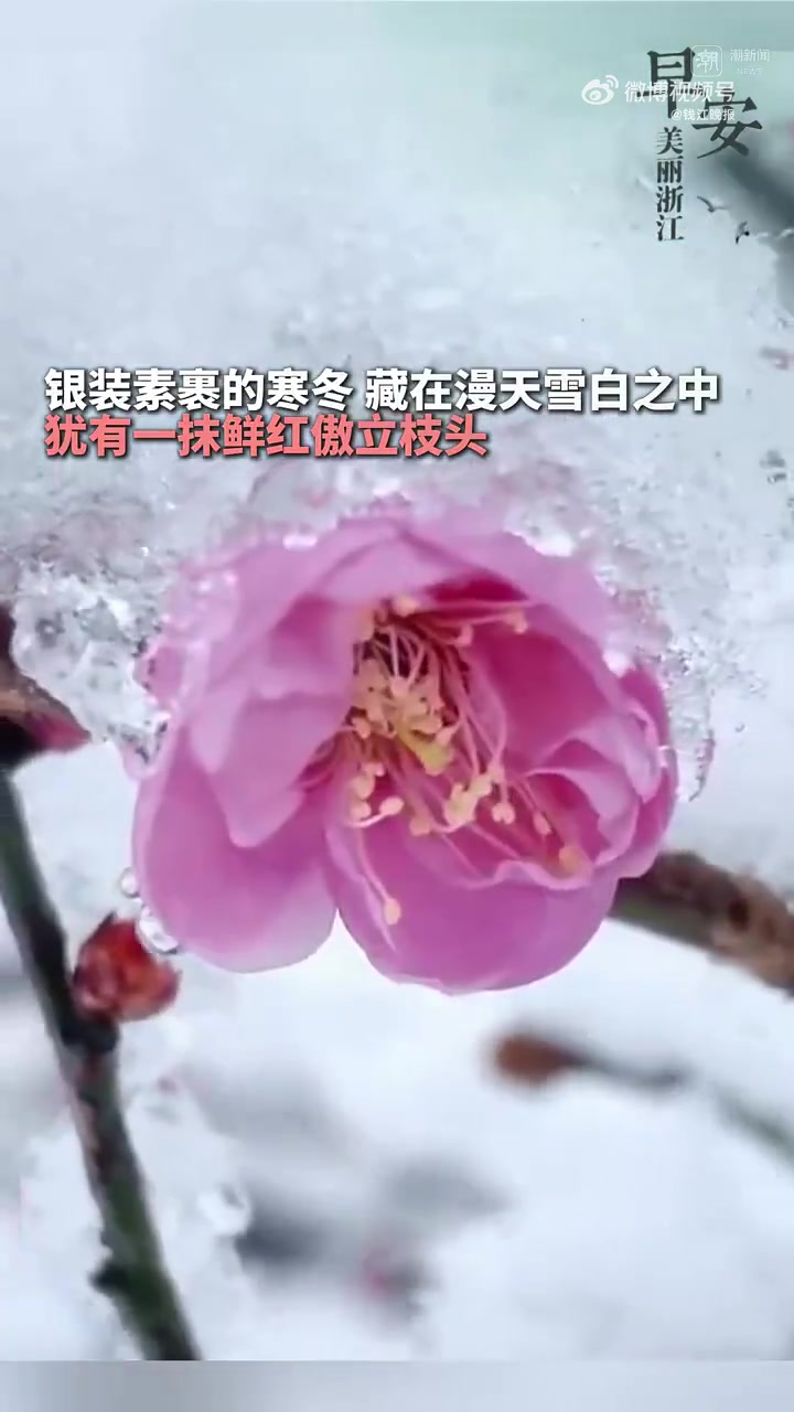 今年杭城的高温,带着十足“爆发力”。杭州的高温会像去年一样甚至更热吗?会出现40℃左右的极